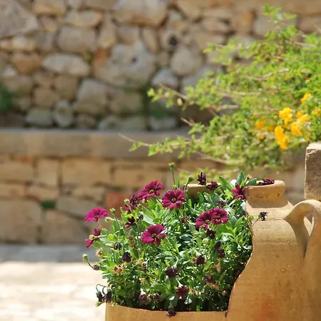 Villa Verde Villa Corsano (Apulia)